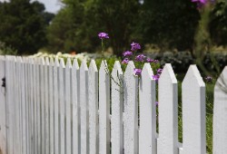 white painted fence